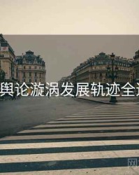 P站舆论漩涡发展轨迹全追踪