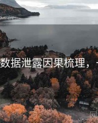 P站入口数据泄露因果梳理，一起深挖