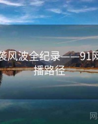 独到抄袭风波全纪录——91网页版传播路径