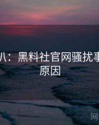独家深扒：黑料社官网骚扰事件背后原因