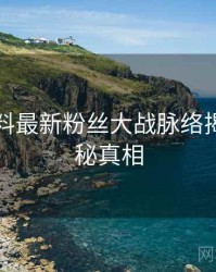 吃瓜爆料最新粉丝大战脉络揭秘，揭秘真相