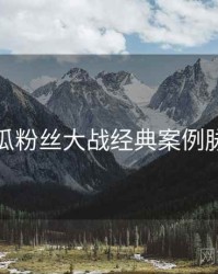 每日吃瓜粉丝大战经典案例脉络揭秘