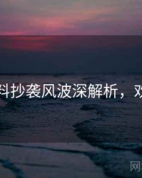 吃瓜爆料抄袭风波深解析，欢迎围观