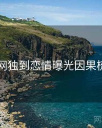 91网独到恋情曝光因果梳理