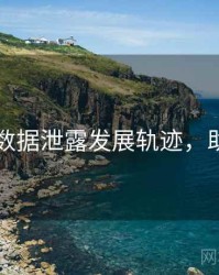 91在线数据泄露发展轨迹，助你决策