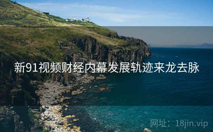 新91视频财经内幕发展轨迹来龙去脉
