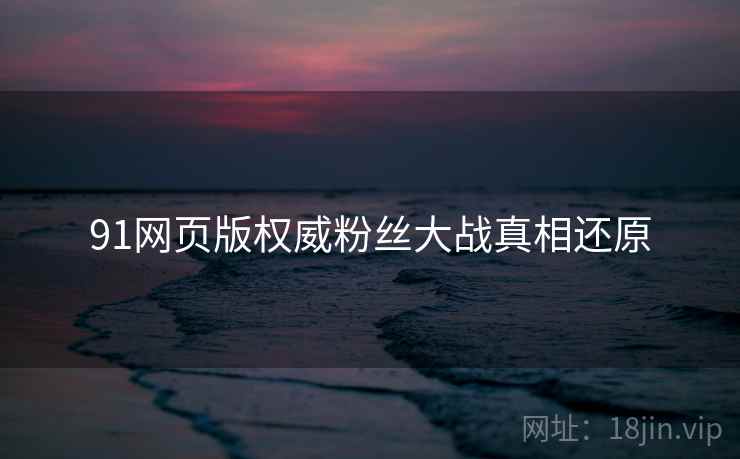 91网页版权威粉丝大战真相还原