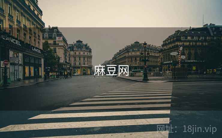 麻豆网
