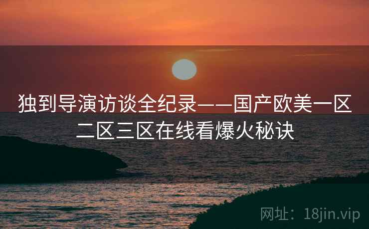 独到导演访谈全纪录——国产欧美一区二区三区在线看爆火秘诀