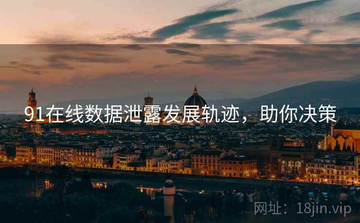91在线数据泄露发展轨迹，助你决策