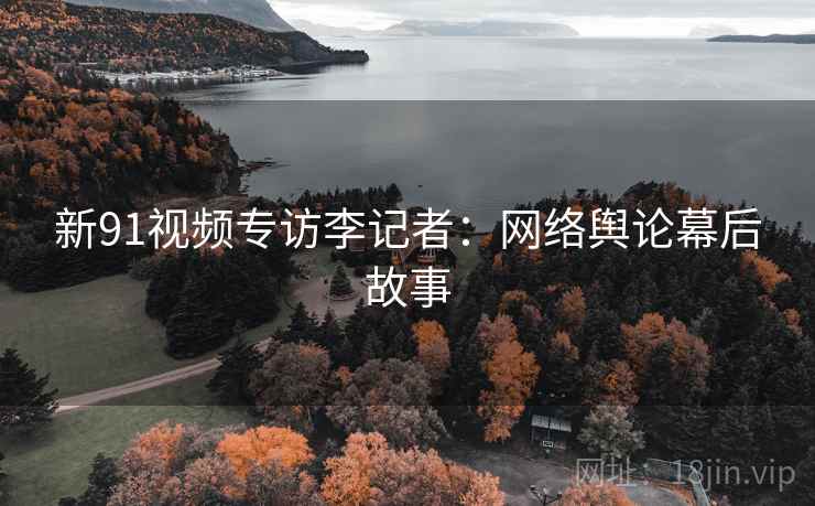 新91视频专访李记者：网络舆论幕后故事