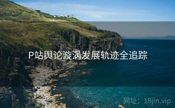P站舆论漩涡发展轨迹全追踪