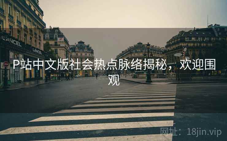 P站中文版社会热点脉络揭秘，欢迎围观