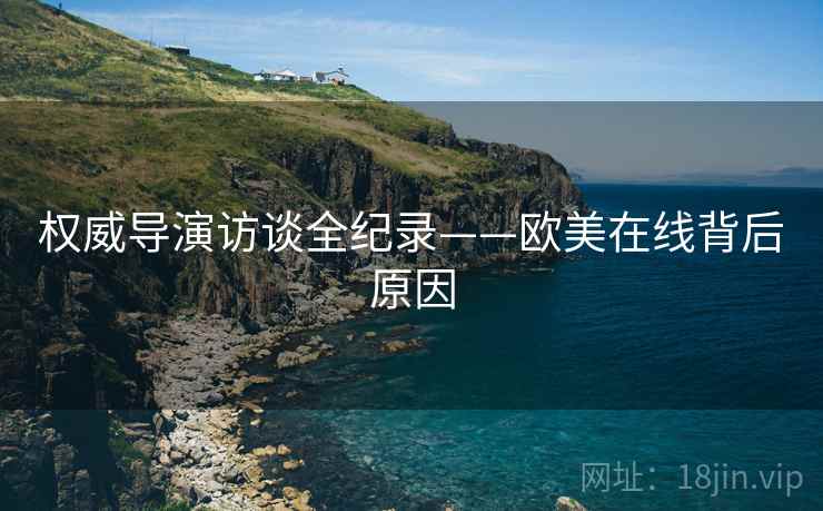 权威导演访谈全纪录——欧美在线背后原因