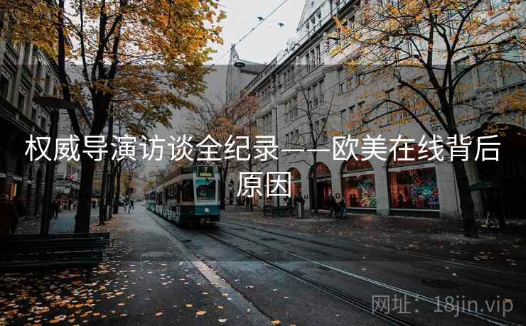 权威导演访谈全纪录——欧美在线背后原因