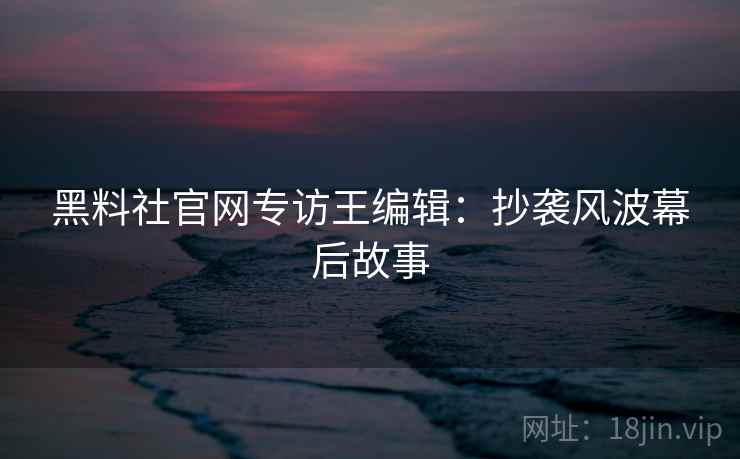 黑料社官网专访王编辑：抄袭风波幕后故事